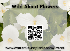 wild about flowers